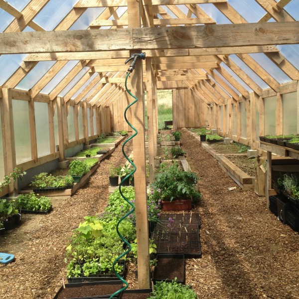 farm greenhouse