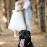 Bride and groom posing with dog in foreground