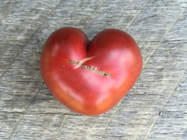 Heart-shaped tomato